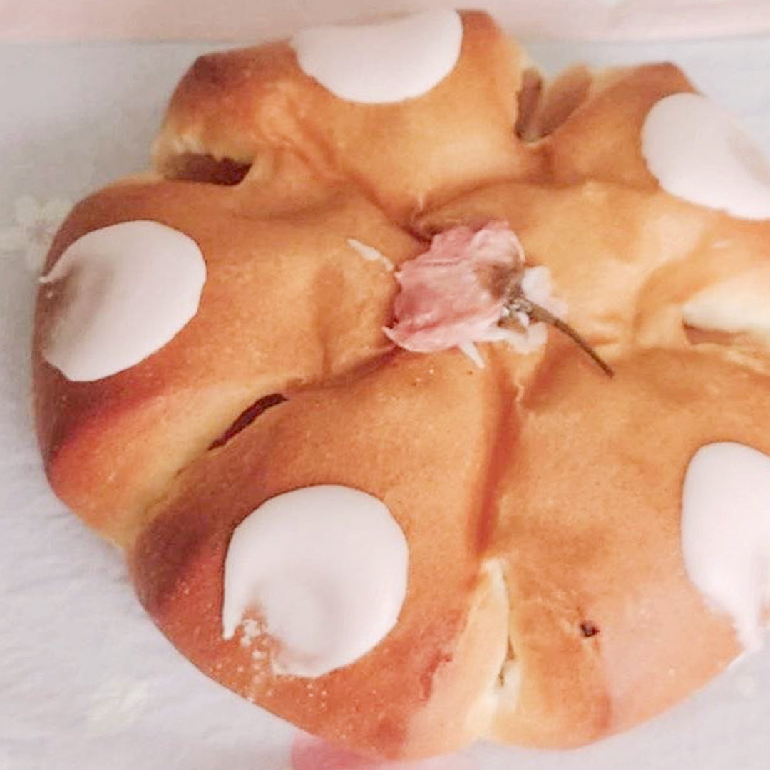 ぴえーる_20260324_03